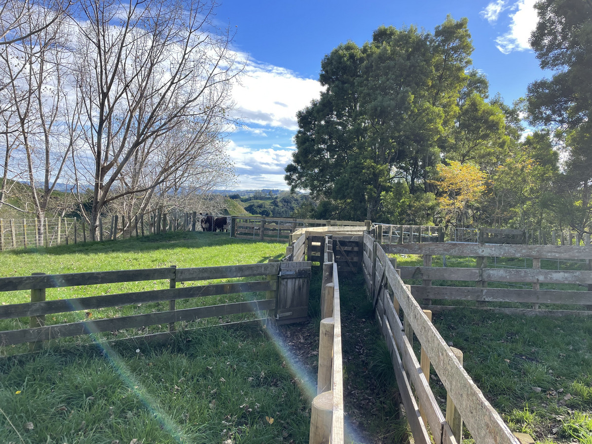 Productive Papa Country - 242.8 Hectares